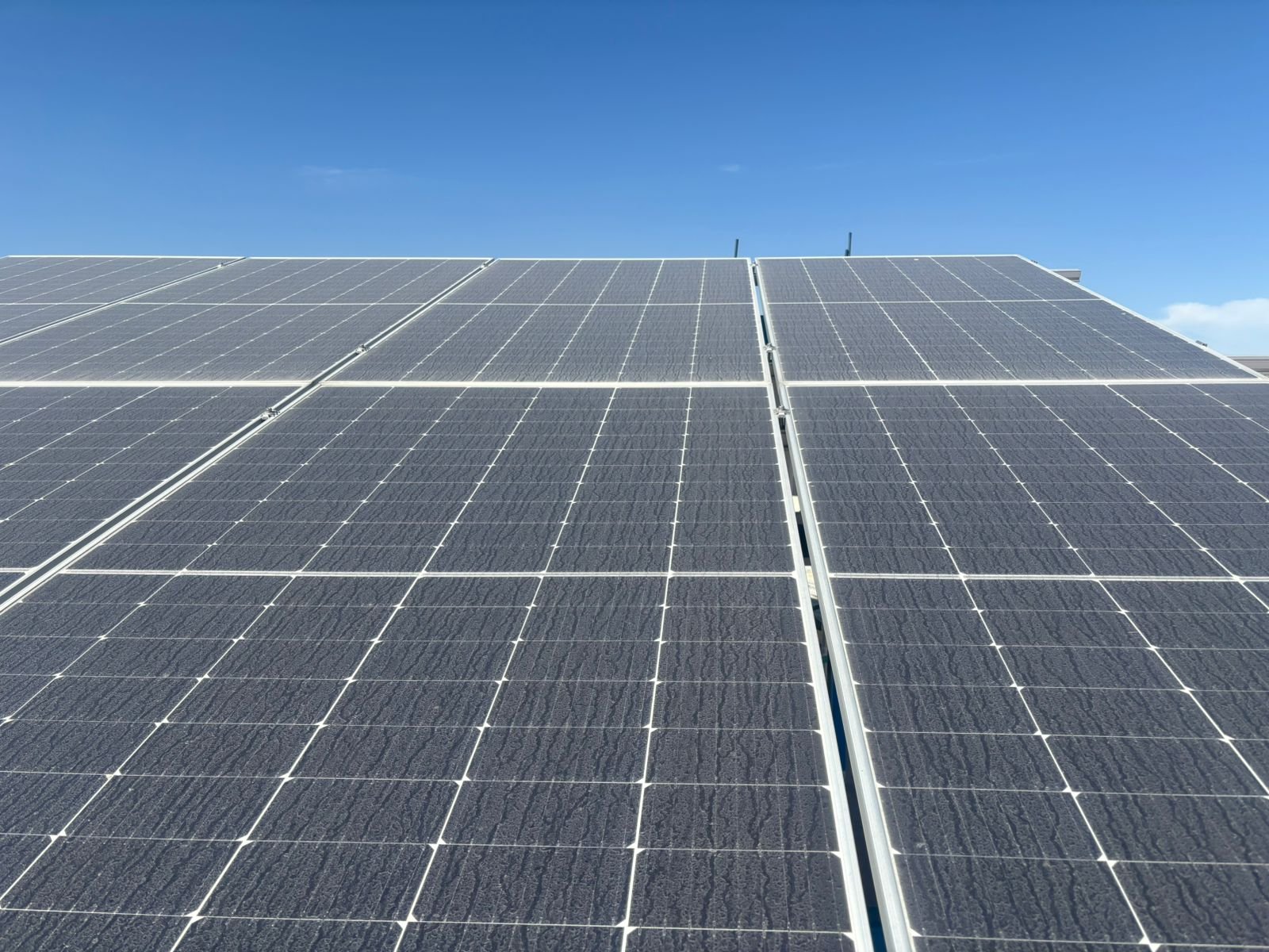 WhatsApp Image 2026-01-30 at 9.50.44 AM